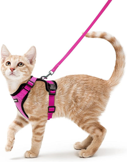 Cat Harness and Leash Set