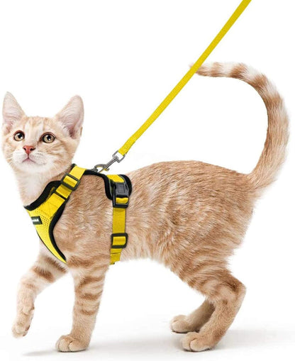 Cat Harness and Leash Set