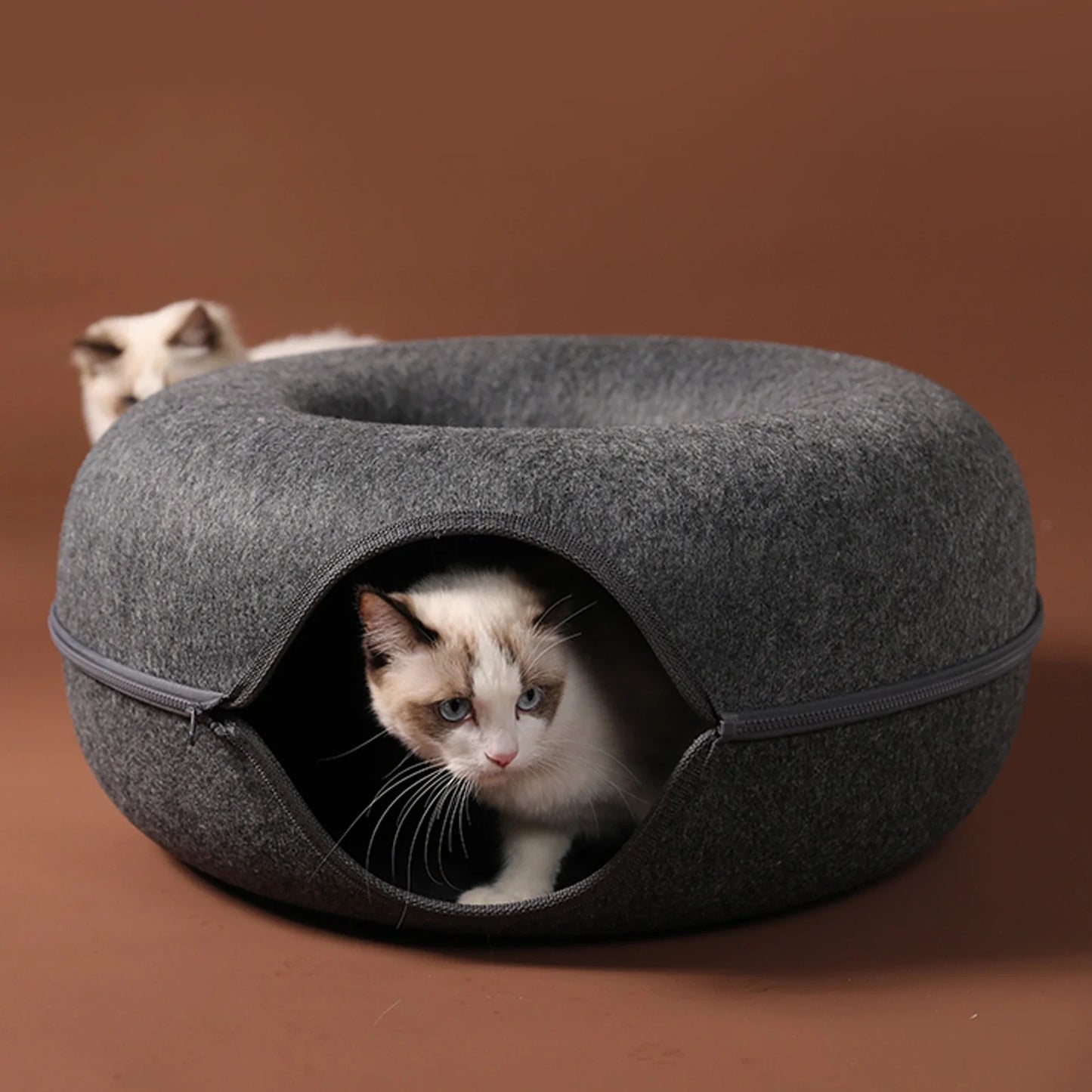 2-in-1 Donut Cat Bed & Tunnel